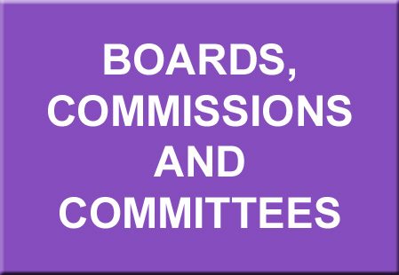 Boards, Commissions and Committees - Statement of Position
