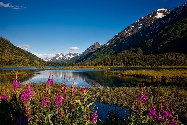 Map showing Alaska, parts of Canada and Russia.